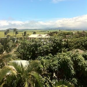 MAUI CHARITY SALE
